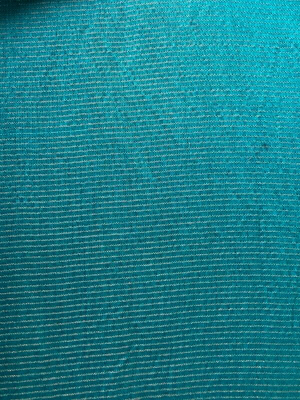 IMG_6917 CHANDERI ZARI STRIPES TOP AND CHANDERI PRINTED DUPATTA - Image 4