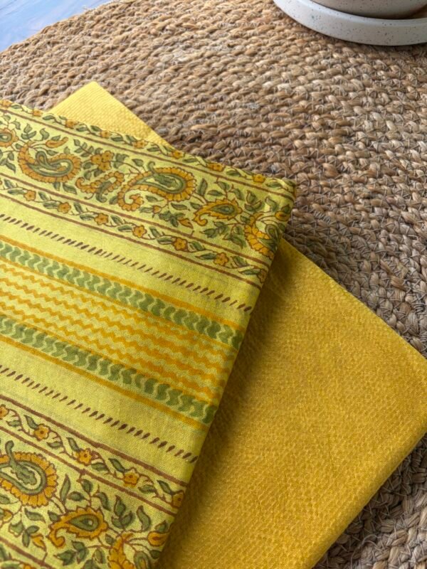 IMG_6921 CHANDERI ZARI STRIPES TOP AND CHANDERI PRINTED DUPATTA - Image 3