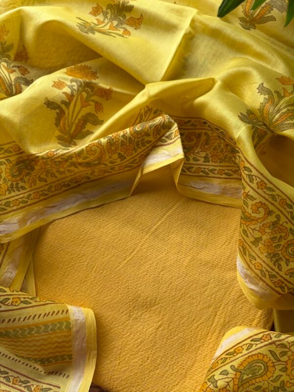 IMG_6922 CHANDERI ZARI STRIPES TOP AND CHANDERI PRINTED DUPATTA - Image 4