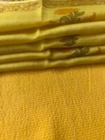 CHANDERI ZARI STRIPES TOP AND CHANDERI PRINTED DUPATTA - Image 5