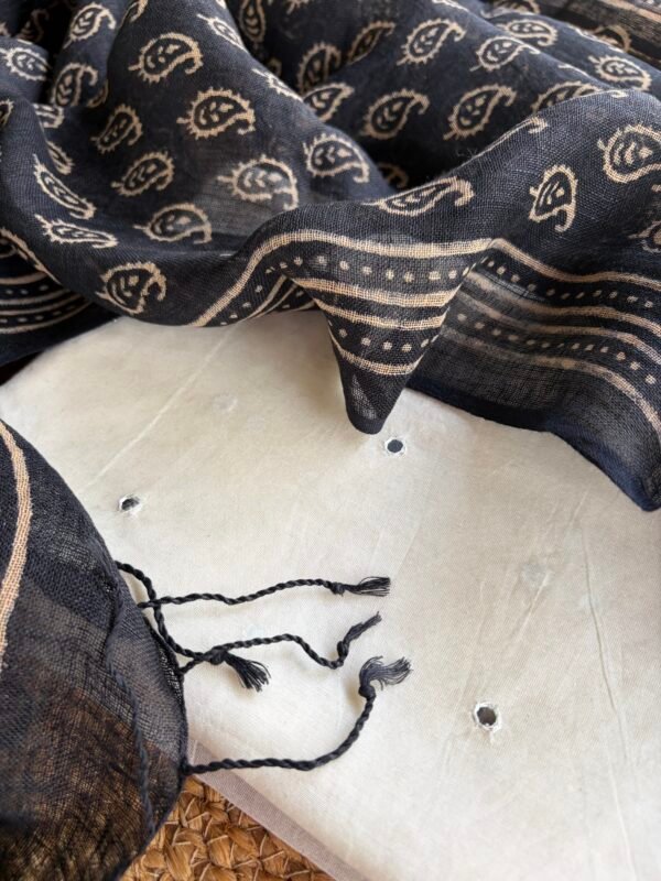 CHANDERI SILK COTTON TOP AND LINEN DUPATTA - Image 7