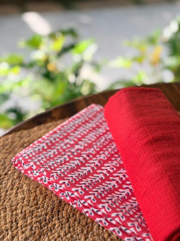 HANDBLOCK PRINTED TOP AND KOTA COTTON DUPATTA WITH LACE - Image 5