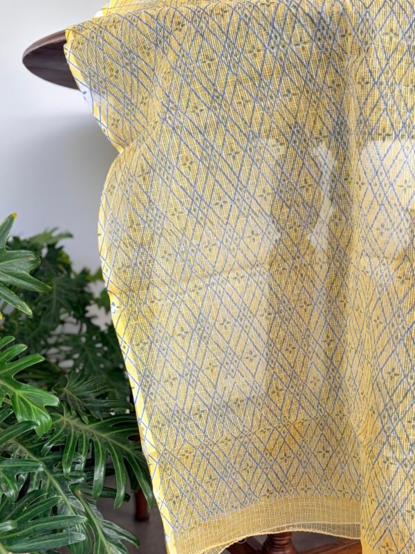 PURE COTTON TOP AND KOTA HANDBLOCK PRINTED DUPATTA - Image 3