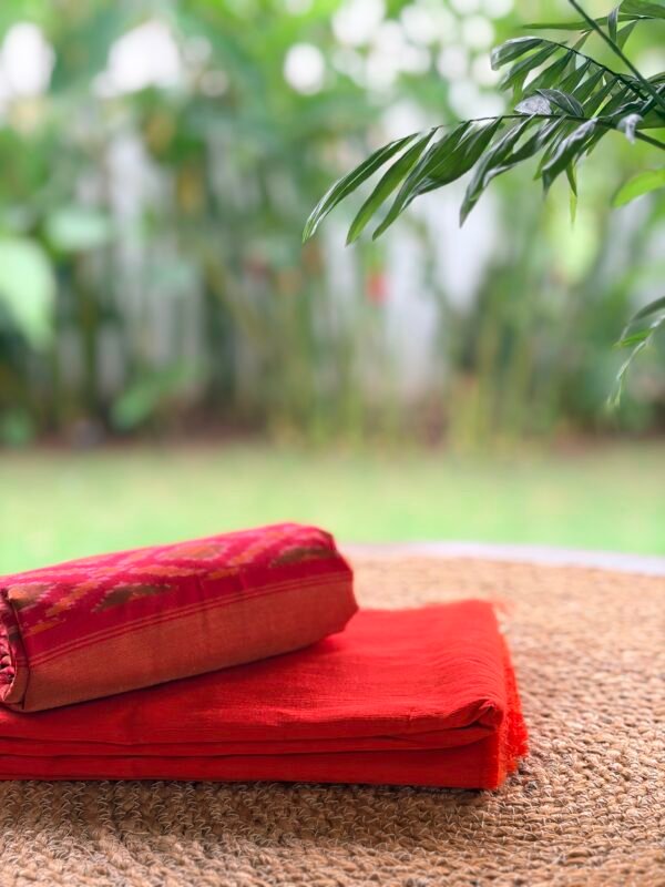SILK COTTON TOP AND IKAT SILK DUPATTA - Image 3