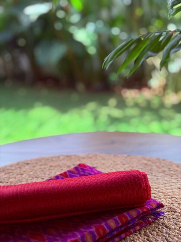 IKAT SILK TOP AND KOTA SILK DUPATTA - Image 5